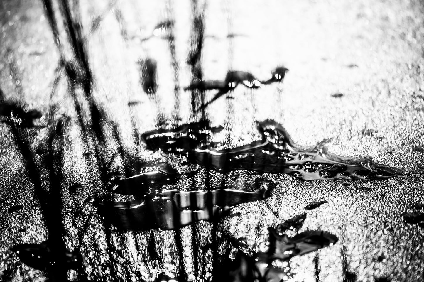 FROZEN INK | Framed Fine Art Canvas Print