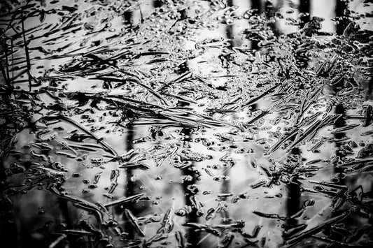 FLOAT | Framed Fine Art Canvas Print