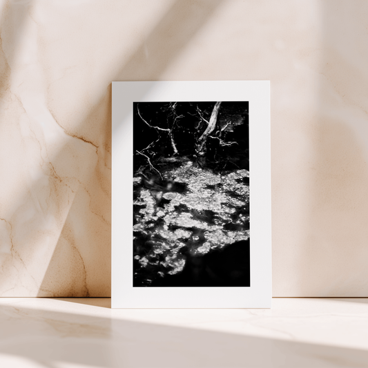 STILLS ONE - Seven cards from Seeker of Stillness (1st Edition)