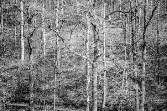 ART AS ARCHITECTURE FOR THE SOUL