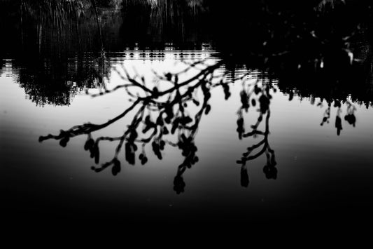 HOW I WENT FROM "SELLING ART" TO SANCTUARY