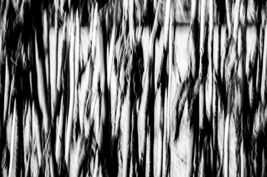 HOW MY DOG TRAINS ME IN BEING PRESENT