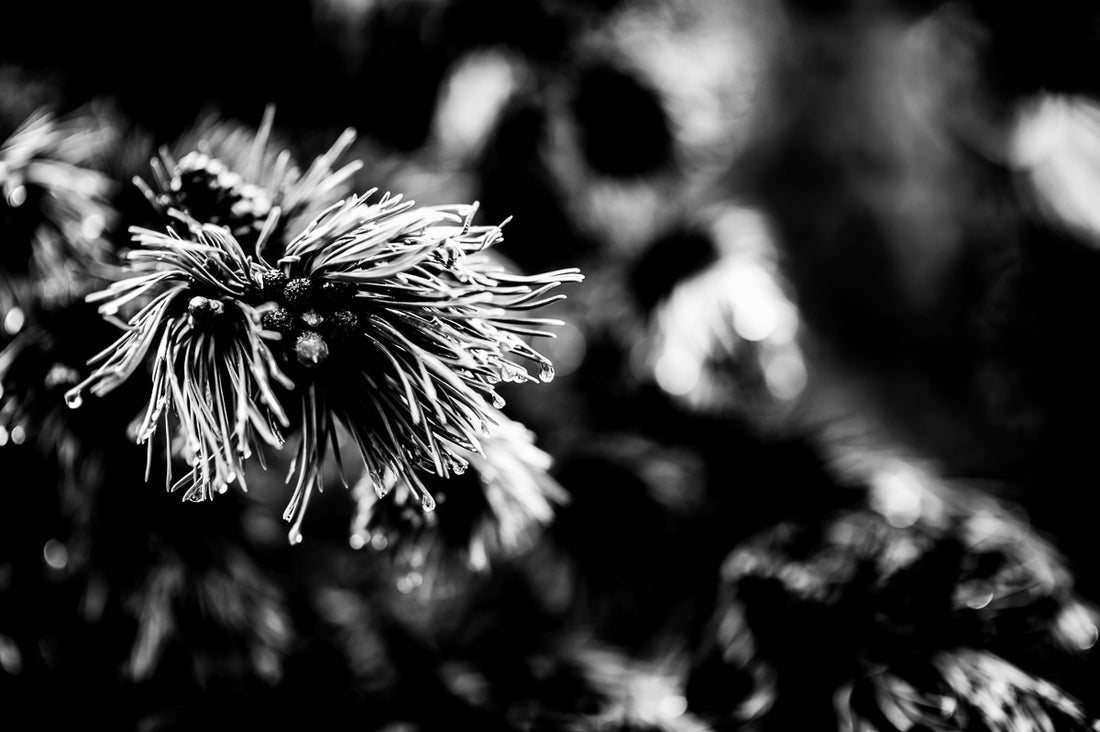 HOW TO USE VISUAL CUES TO STAY GROUNDED IN THE MOMENT
