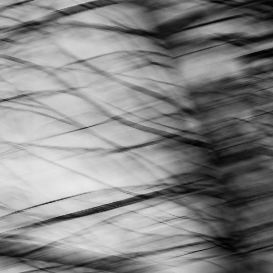 WHY SOME WALLS WHISPER AND OTHERS DO NOT