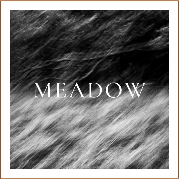 THE MEADOW COLLECTION - GRACEFUL ABSTRACT WALL ART