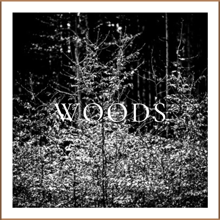 THE WOODS COLLECTION - STRONG ABSTRACT WALL ART