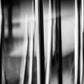 DELICATE | Abstract Art Print on Fine Art Paper