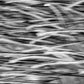 WINTER COAT | Abstract Nature Photography on Fine Art Paper