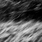 KISSING THE GROUND | Abstract Nature Photography on Fine Art Paper