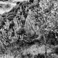 WIMMELBILD | Abstract Nature Photography Print on Fine Art Paper