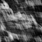 MOSSY DEER | Abstract Nature Photography on Fine Art Paper