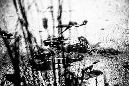 FROZEN INK | Framed Fine Art Canvas Print