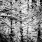 FLOAT | Framed Fine Art Canvas Print