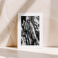 STILLS ONE - Seven cards from Seeker of Stillness (1st Edition)