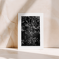 STILLS ONE - Seven cards from Seeker of Stillness (1st Edition)