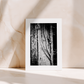 BOOK & CARD BUNDLE | 2nd Edition