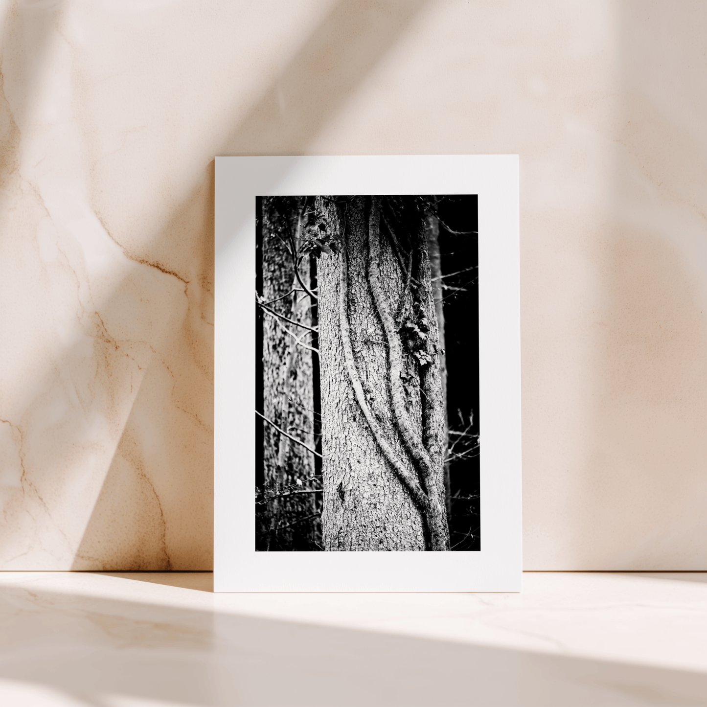 BOOK & CARD BUNDLE | 2nd Edition