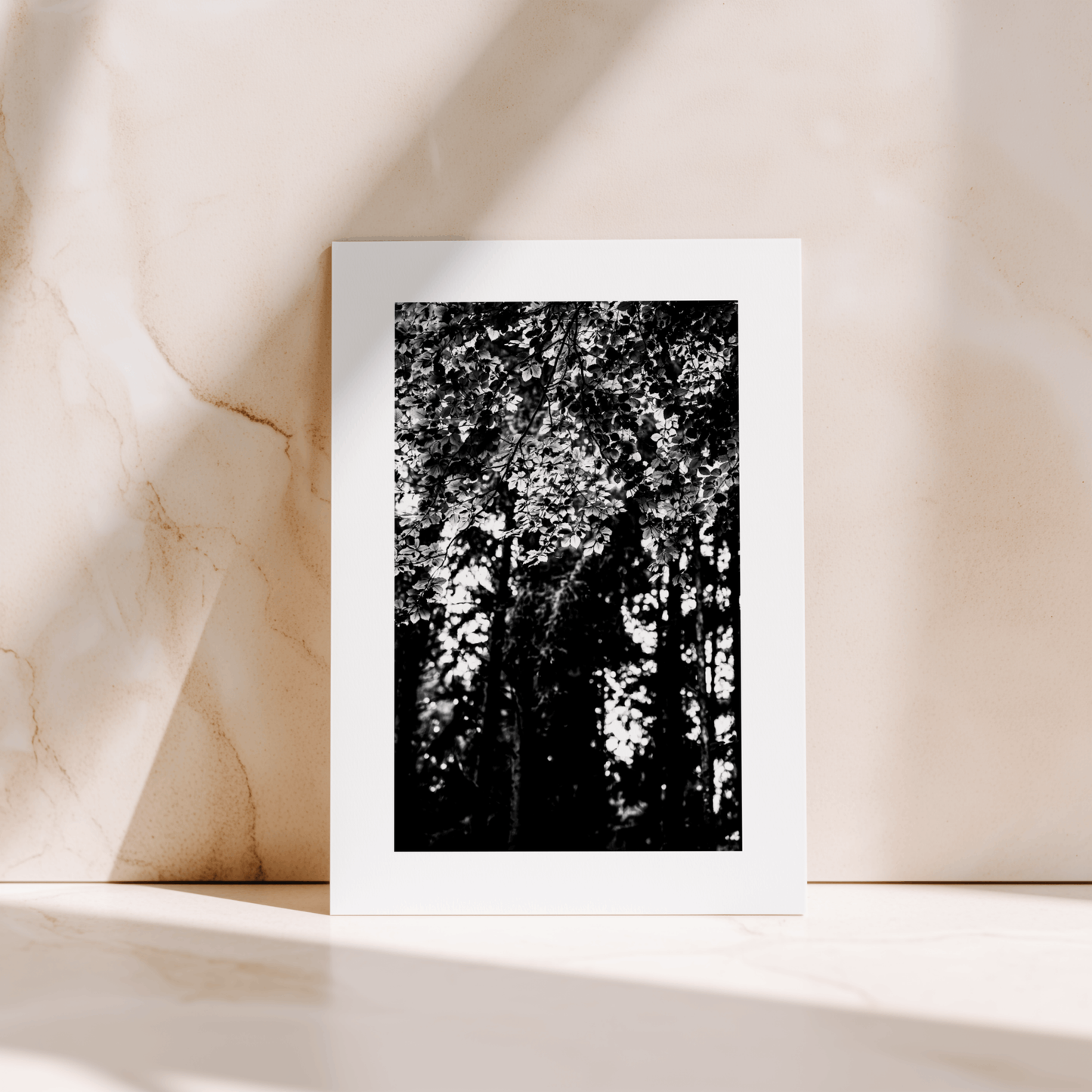 BOOK & CARD BUNDLE | 2nd Edition