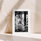 BOOK & CARD BUNDLE | 2nd Edition