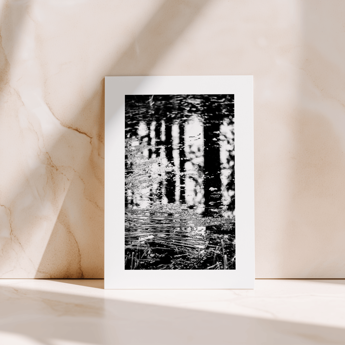 BOOK & CARD BUNDLE | 2nd Edition