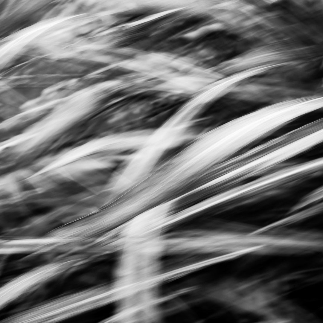 RIBBONS | Abstract Nature Photography on Fine Art Paper