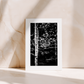 BOOK & CARD BUNDLE | 2nd Edition