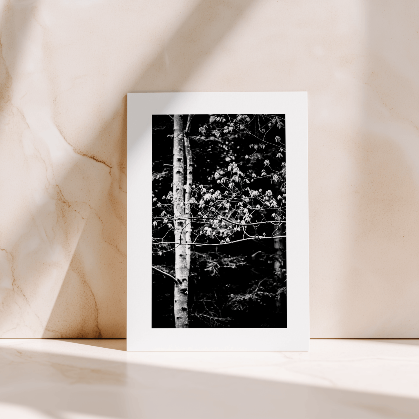 BOOK & CARD BUNDLE | 2nd Edition