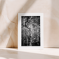STILLS ONE - Seven cards from Seeker of Stillness (1st Edition)