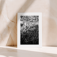 STILLS ONE - Seven cards from Seeker of Stillness (1st Edition)