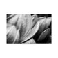 MAGNOLIA five | Modern Nature Abstract Print