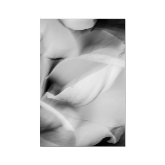 MAGNOLIA seven | Modern Nature Abstract Print