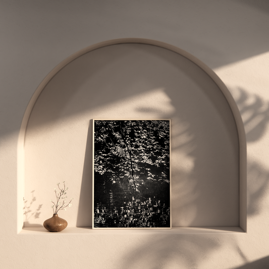 ECHO | Framed Fine Art Canvas Print