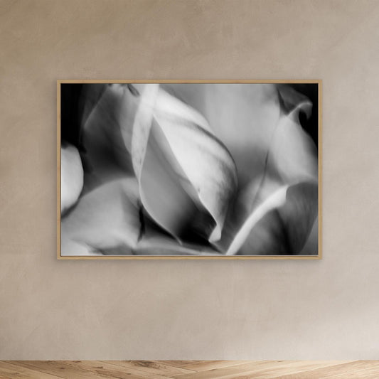MAGNOLIA FOUR