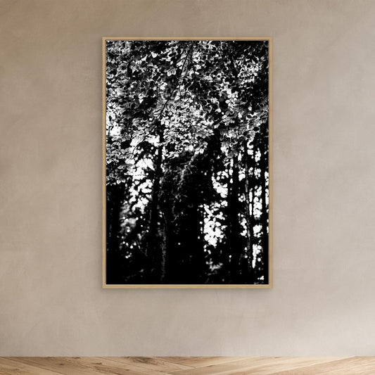 LOOK CLOSELY | 