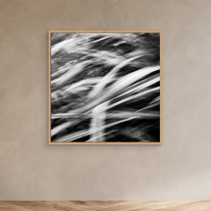 RIBBONS | 
