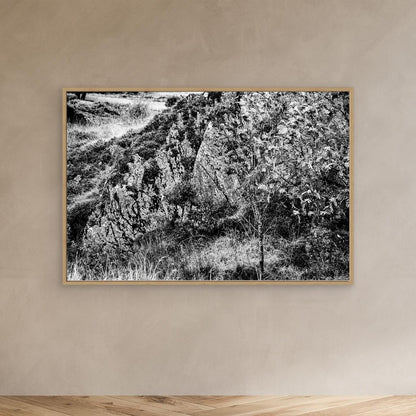 WIMMELBILD | 