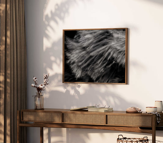 PETTICOAT | Framed Fine Art Canvas Print